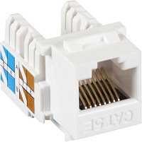 Гнездо-вставка RJ-45 (Keystone Jack) CAT5e белый NETLAN